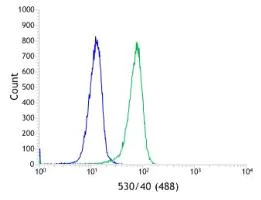 Flow Cytometry (Intracellular) - Anti-Smad4 antibody [SP306] - BSA and Azide free (AB243929)