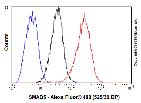 Flow Cytometry (Intracellular) - Anti-SMAD5 antibody [EP619Y] (AB40771), expandable thumbnail