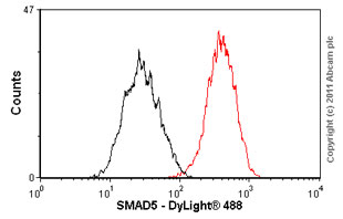 Flow Cytometry (Intracellular) - Anti-SMAD5 antibody [EP619Y] (ab40771), expandable thumbnail