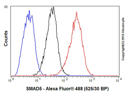 Flow Cytometry (Intracellular) - Anti-SMAD5 antibody [EP619Y] - BSA and Azide free (AB238952)