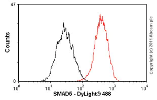 Flow Cytometry (Intracellular) - Anti-SMAD5 antibody [EP619Y] - BSA and Azide free (AB238952)