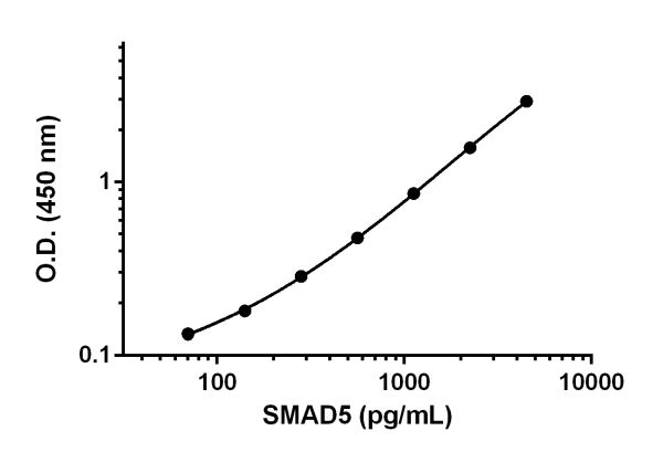 Sandwich ELISA - Anti-SMAD5 antibody [EPR19572-136] - BSA and Azide free (Capture) (AB242584), expandable thumbnail