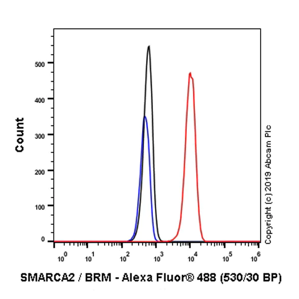 Flow Cytometry (Intracellular) - Anti-SMARCA2 / BRM antibody [EPR23103-44] (AB240648)
