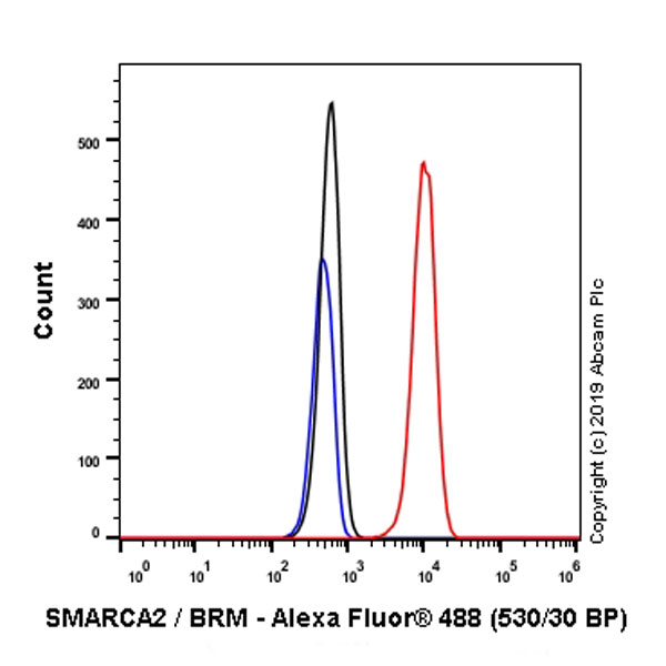 Flow Cytometry (Intracellular) - Anti-SMARCA2 / BRM antibody [EPR23103-44] - BSA and Azide free (AB269872), expandable thumbnail