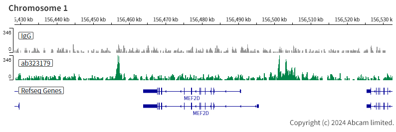 ChIC/CUT&RUN sequencing - Anti-SMARCA2 / BRM antibody [EPR28611-92] (ab323179), expandable thumbnail