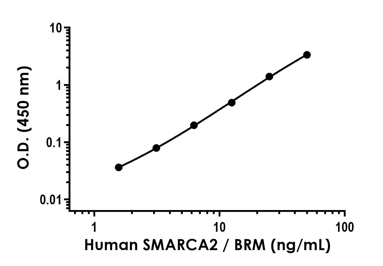 Sandwich ELISA - SMARCA2 / BRM Antibody Pair - BSA and Azide free (AB315986), expandable thumbnail