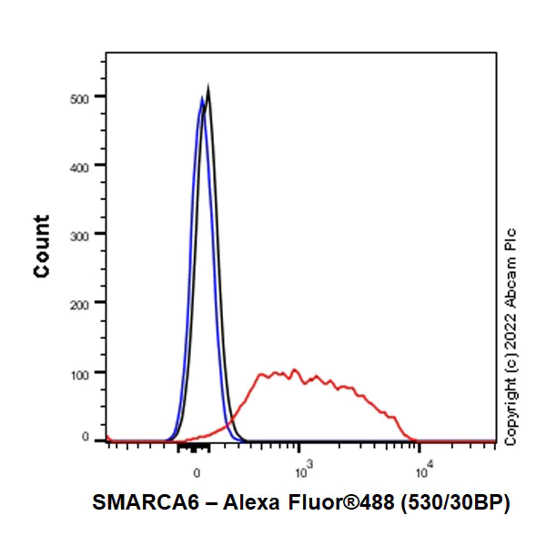 Flow Cytometry (Intracellular) - Anti-SMARCA6 antibody [EPR25295-62] (BSA and Azide free) (AB300041)