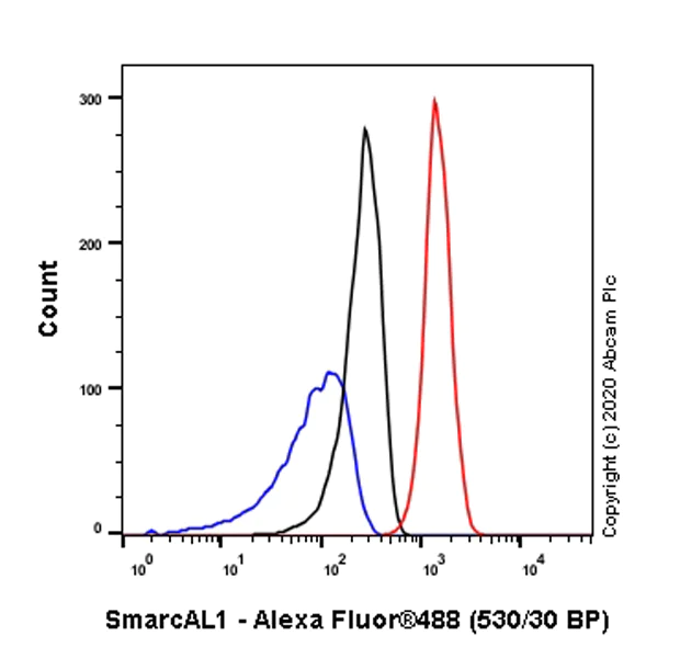 Flow Cytometry (Intracellular) - Anti-SmarcAL1 antibody [EPR23912-44] - BSA and Azide free (AB277529)
