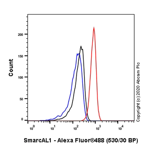 Flow Cytometry (Intracellular) - Anti-SmarcAL1 antibody [EPR23912-44] - BSA and Azide free (AB277529)