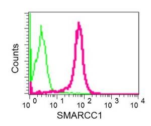 Flow Cytometry (Intracellular) - Anti-SMARCC1/BAF155 antibody [EPR12395] - BSA and Azide free (AB232354)
