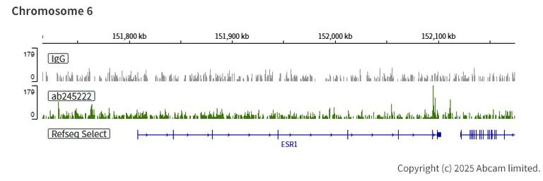 ChIC/CUT&RUN sequencing - Anti-SMARCD1 antibody [EPR23170-71] (AB245222)