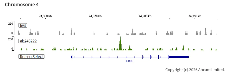 ChIC/CUT&RUN sequencing - Anti-SMARCD1 antibody [EPR23170-71] - BSA and Azide free (AB269463)