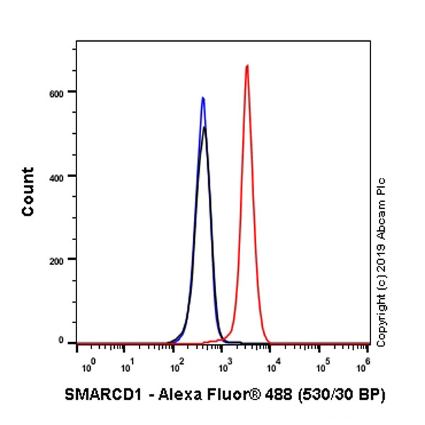 Flow Cytometry (Intracellular) - Anti-SMARCD1 antibody [EPR23170-71] - BSA and Azide free (AB269463), expandable thumbnail
