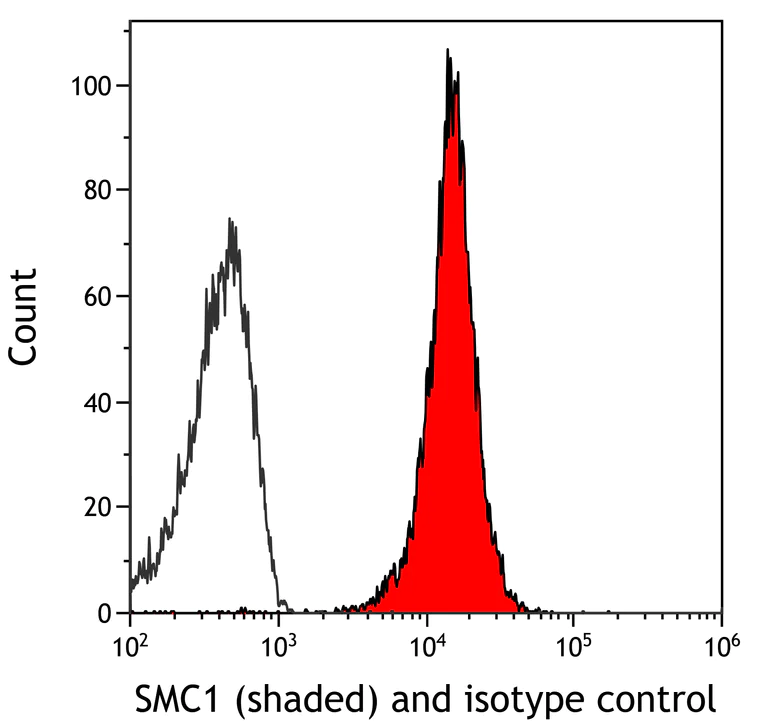 Flow Cytometry - Anti-SMC1A antibody [BL-205-2G8] (AB243875)