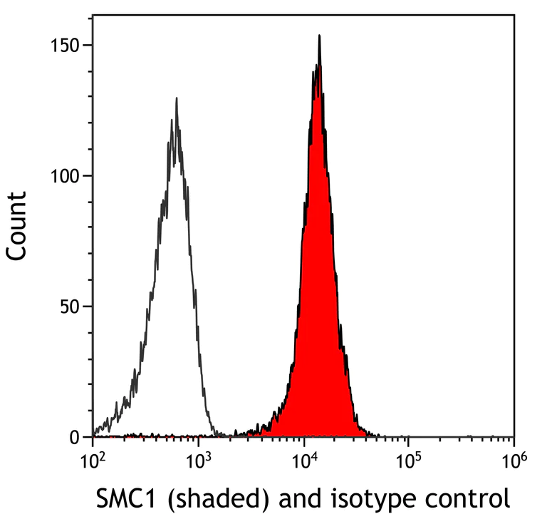 Flow Cytometry - Anti-SMC1A antibody [BL-205-2G8] (AB243875)