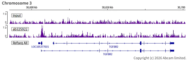 ChIP-sequencing - Anti-SMC1A antibody [EPR30532-7] (AB325922)