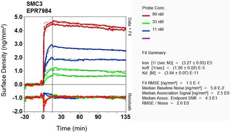 OI-RD Scanning - Anti-SMC3 antibody [EPR7984] - BSA and Azide free (AB225553)
