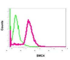Flow Cytometry (Intracellular) - Anti-SMC4 antibody [EPR13366] - BSA and Azide free (AB250130)