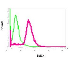 Flow Cytometry (Intracellular) - Anti-SMC4 antibody [EPR13366] - C-terminal (AB179831)