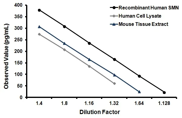 Sandwich ELISA - SMN ELISA kit (AB136947)