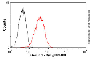Flow Cytometry - Anti-SMN/Gemin 1 antibody [2B1] (AB5831)