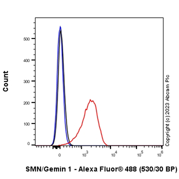 Flow Cytometry (Intracellular) - Anti-SMN/Gemin 1 antibody [EPR25897-27] - BSA and Azide free (AB314896), expandable thumbnail