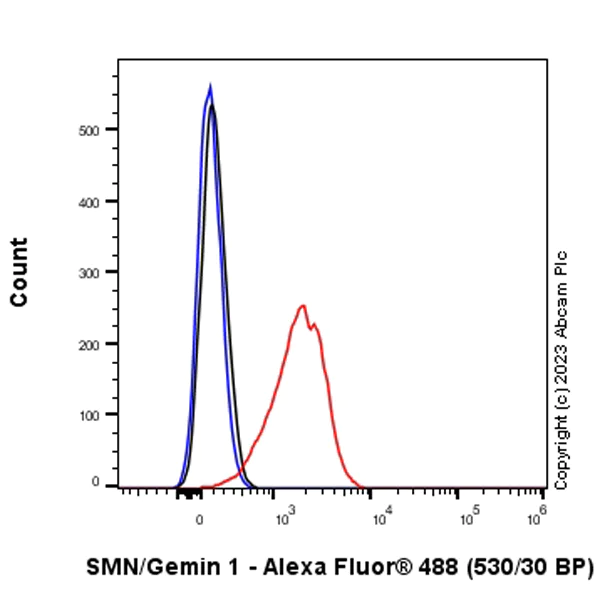 Flow Cytometry (Intracellular) - Anti-SMN/Gemin 1 antibody [EPR25897-27] - BSA and Azide free (AB314896)