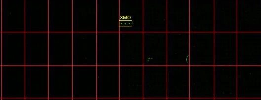 Array - Anti-SMO antibody [HL2975] - BSA and Azide free (AB325873)