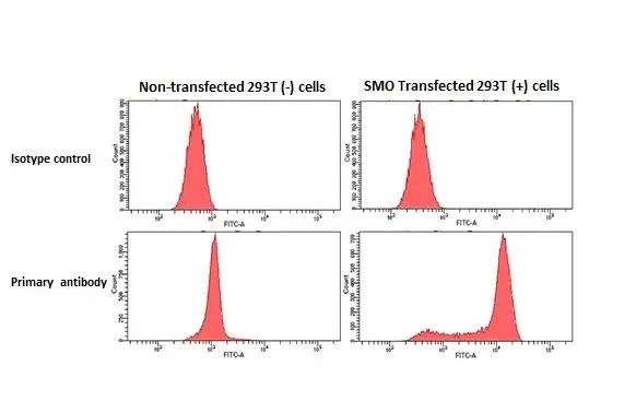Flow Cytometry (Intracellular) - Anti-SMO antibody [HL2975] - BSA and Azide free (AB325873)