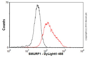 Flow Cytometry - Anti-SMURF1 antibody [1D7] (AB57573)