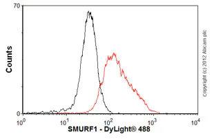 Flow Cytometry - Anti-SMURF1 antibody [1D7] (AB57573)