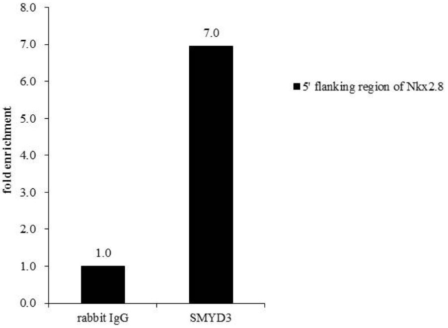 ChIP - Anti-SMYD3 antibody (AB155018), expandable thumbnail