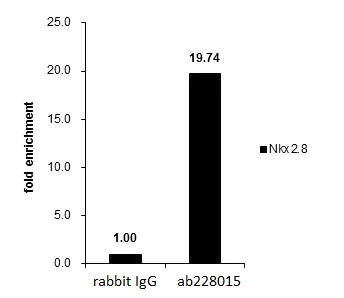 ChIP - Anti-SMYD3 antibody (AB228015)