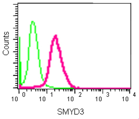 Flow Cytometry (Intracellular) - Anti-SMYD3 antibody [EPR11107(2)] - BSA and Azide free (AB232626), expandable thumbnail