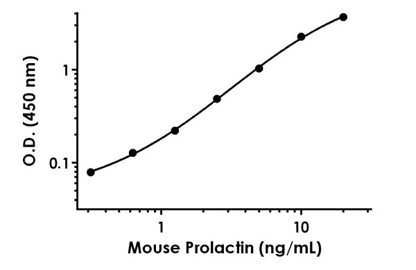 Sandwich ELISA - Anti-SNAIL antibody [EPR21043-44] - BSA and Azide free (Detector) (AB307572)