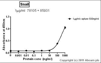 Sandwich ELISA - Anti-SNAIL + SLUG antibody [20C8] (AB78105)