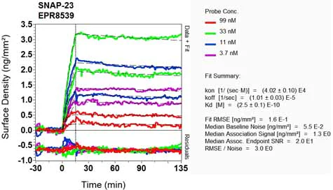 OI-RD Scanning - Anti-SNAP23 antibody [EPR8539] (AB133703)