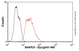 Flow Cytometry - Anti-SNAP25 antibody [4A3] (AB66066)