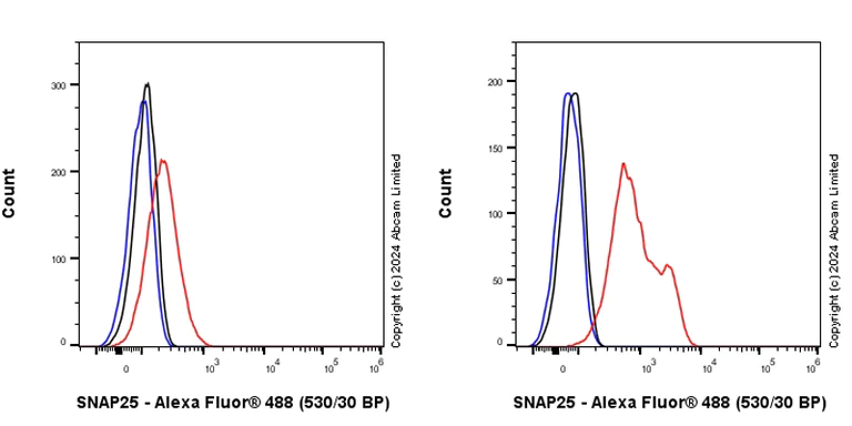 Flow Cytometry (Intracellular) - Anti-SNAP25 antibody [RM1207] - BSA and Azide free (AB320655)