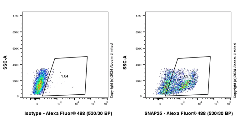 Flow Cytometry (Intracellular) - Anti-SNAP25 antibody [RM1207] - BSA and Azide free (AB320655)