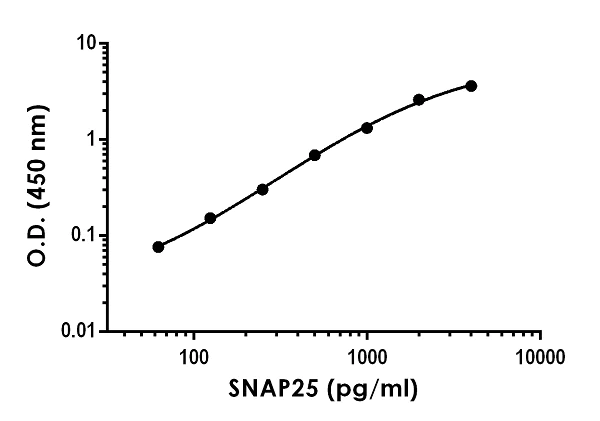 Sandwich ELISA - SNAP25 ELISA Kit (AB256394)