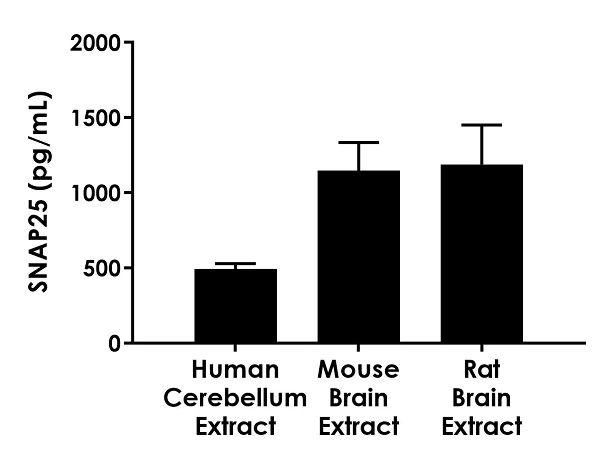 Sandwich ELISA - SNAP25 ELISA Kit (AB256394)