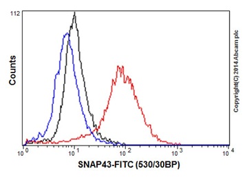Flow Cytometry (Intracellular) - Anti-SNAPC1 antibody [EPR16466] - BSA and Azide free (AB251226)