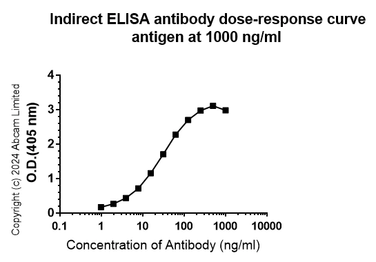 Indirect ELISA - Anti-SND1 antibody [EPR28903-23] - BSA and Azide free (AB322054)