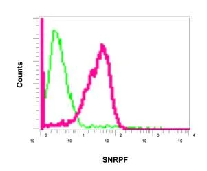 Flow Cytometry (Intracellular) - Anti-SNRPF antibody [EPR10389(B)] - BSA and Azide free (AB249275)