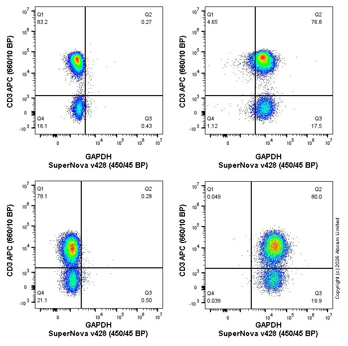Flow Cytometry (Intracellular) - SNv428 Anti-GAPDH antibody [EPR16891] (AB326140)