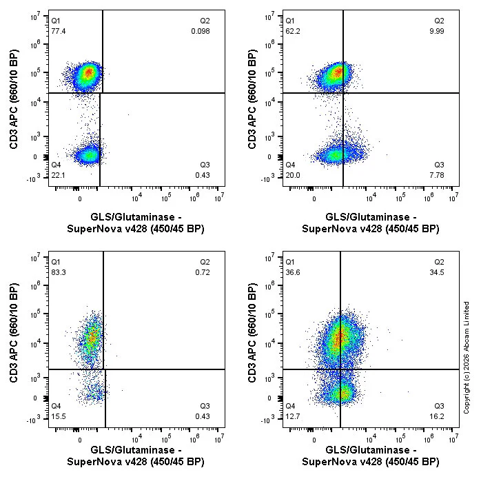 Flow Cytometry (Intracellular) - SNv428 Anti-GLS/Glutaminase antibody [EPR19525] (AB326267)