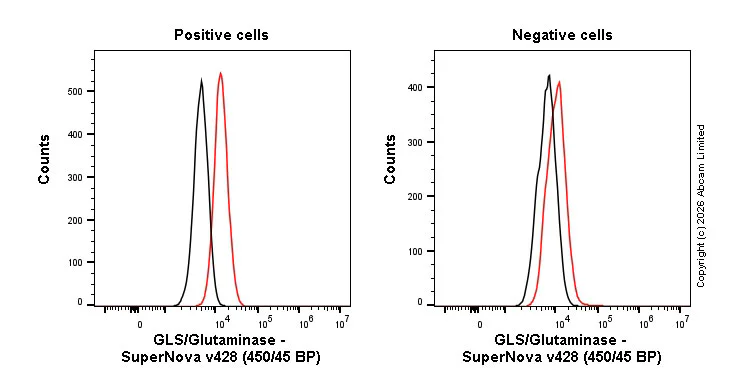 Flow Cytometry (Intracellular) - SNv428 Anti-GLS/Glutaminase antibody [EPR19525] (AB326267)