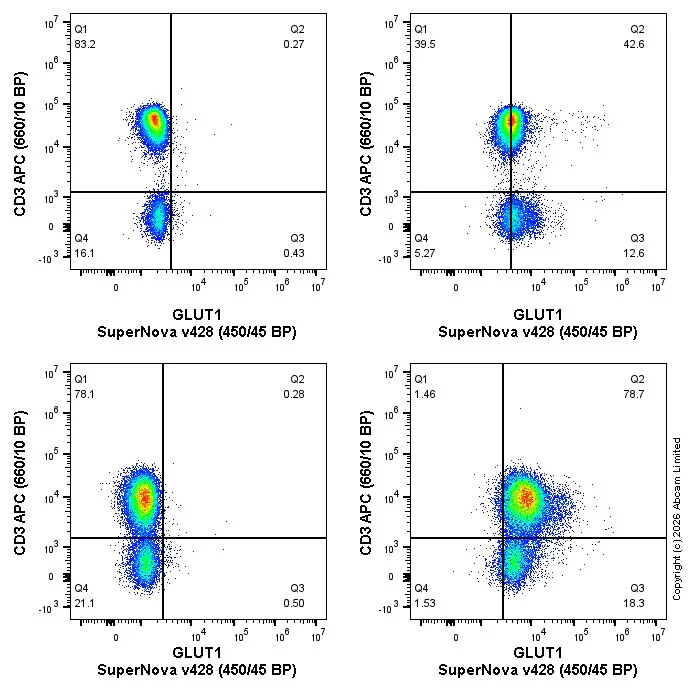 Flow Cytometry (Intracellular) - SNv428 Anti-Glucose Transporter GLUT1 antibody [EPR3915] (AB326117)