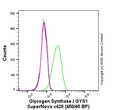 Flow Cytometry (Intracellular) - SNv428 Anti-Glycogen synthase 1/GYS1 antibody [EP817Y] (AB326124)